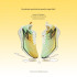 361º Flying burning 3ET professional running shoes 672512271F-1